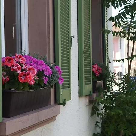 Maison d'hôtes Gastehaus Sonne Ettlingen